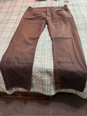 b/BLACK by David Bitton Brown Pants - Classic Dark Brown